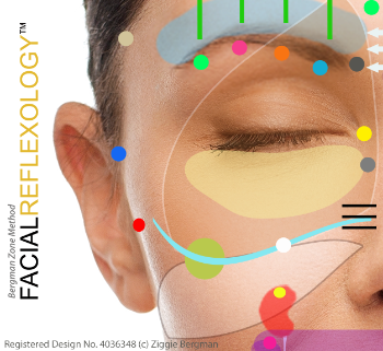 Bergman Method Facial Reflexology Chart